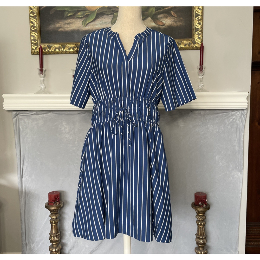 41 Hawthorn Blue White Stripe Dress Size Large Petite